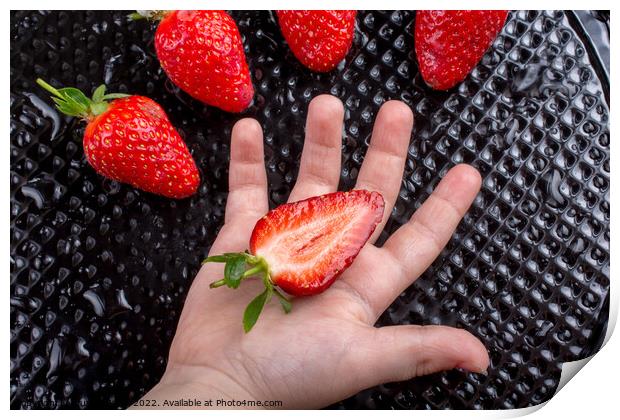 Sweet and ripe strawberry fruit in hand Print by Turgay Koca
