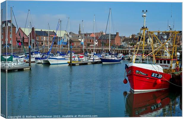 Tranquil Arbroath Harbour Scene Canvas Print by Rodney Hutchinson