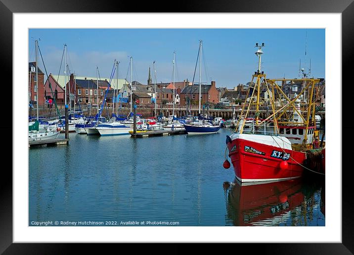 Tranquil Arbroath Harbour Scene Framed Mounted Print by Rodney Hutchinson