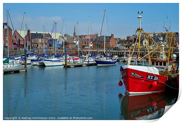 Tranquil Arbroath Harbour Scene Print by Rodney Hutchinson