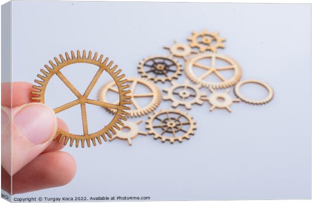 Gear wheel in hand on white background as concept of engineering Canvas Print by Turgay Koca