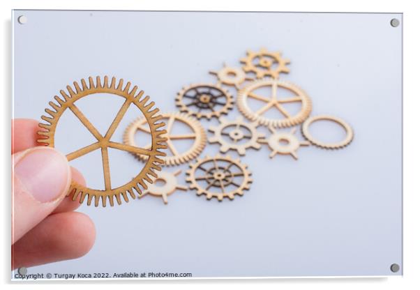 Gear wheel in hand on white background as concept of engineering Acrylic by Turgay Koca