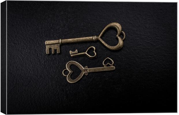 Retro style metal keys as love concept Canvas Print by Turgay Koca