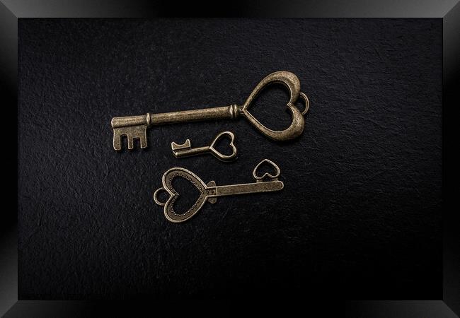 Retro style metal keys as love concept Framed Print by Turgay Koca