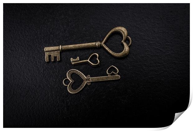 Retro style metal keys as love concept Print by Turgay Koca