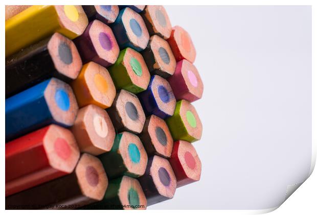 Color pencils Print by Turgay Koca