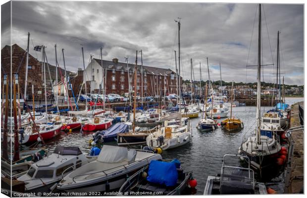 Serenity at North Berwick Harbour Canvas Print by Rodney Hutchinson