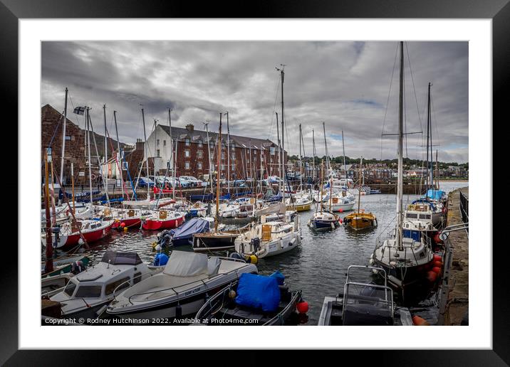 Serenity at North Berwick Harbour Framed Mounted Print by Rodney Hutchinson
