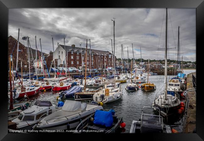 Serenity at North Berwick Harbour Framed Print by Rodney Hutchinson