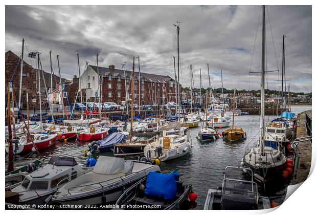 Serenity at North Berwick Harbour Print by Rodney Hutchinson