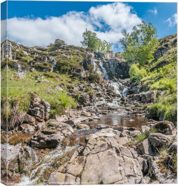 Blea Beck Force Waterfall, Teesdale Canvas Print by Richard Laidler