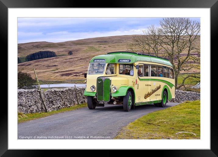 Timeless Beauty Framed Mounted Print by Rodney Hutchinson