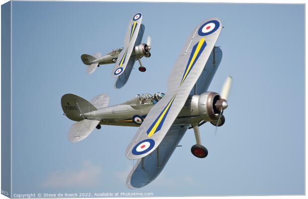Gloster Gladiator Pair Canvas Print by Steve de Roeck