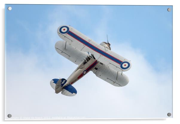 Gloster Gladiator pulls up to a loop Acrylic by Steve de Roeck