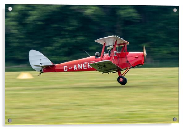 de Havilland DH.82A G-ANEN Acrylic by J Biggadike