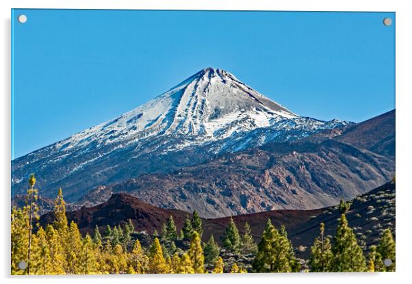 Mount Teide in December Acrylic by Joyce Storey