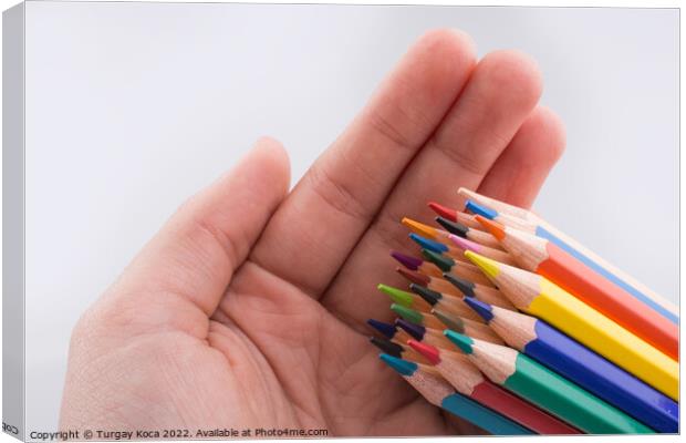 Hand holding color  pencils Canvas Print by Turgay Koca