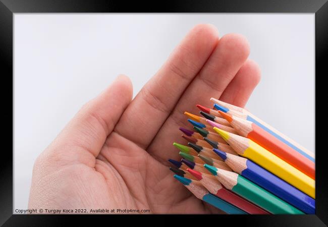 Hand holding color  pencils Framed Print by Turgay Koca