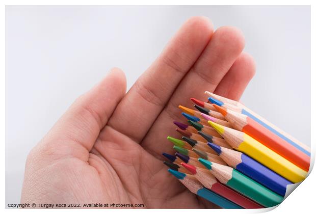 Hand holding color  pencils Print by Turgay Koca