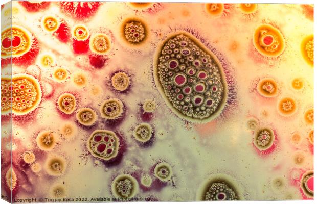 Macro shot of air bubbles over colored background Canvas Print by Turgay Koca