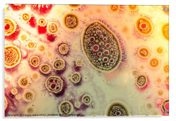 Macro shot of air bubbles over colored background Acrylic by Turgay Koca