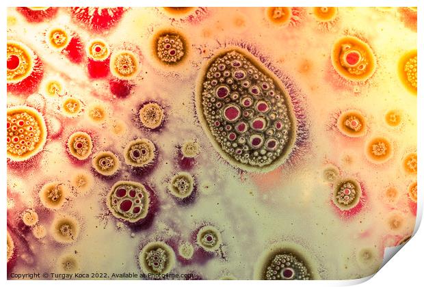 Macro shot of air bubbles over colored background Print by Turgay Koca