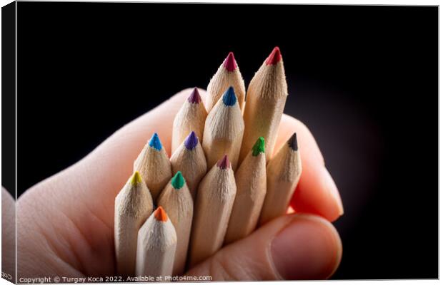 Hand holding colored pencils for creative idea and concept.  Canvas Print by Turgay Koca