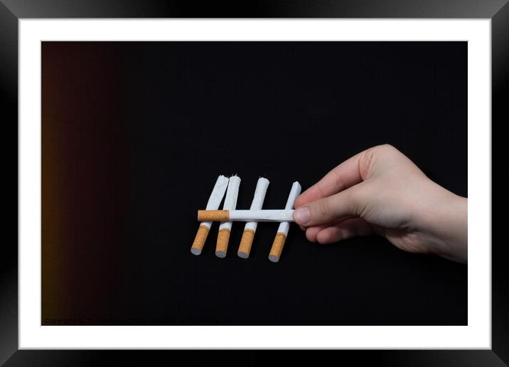 Hand is holding crossed cigarettes on black background Framed Mounted Print by Turgay Koca