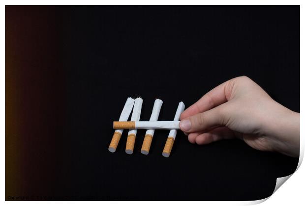 Hand is holding crossed cigarettes on black background Print by Turgay Koca