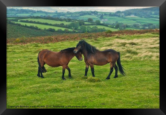 The Lovers Framed Print by Abdul Kadir Audah