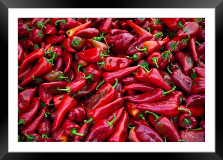 A Lot of Red Peppers as food background Framed Mounted Print by Turgay Koca