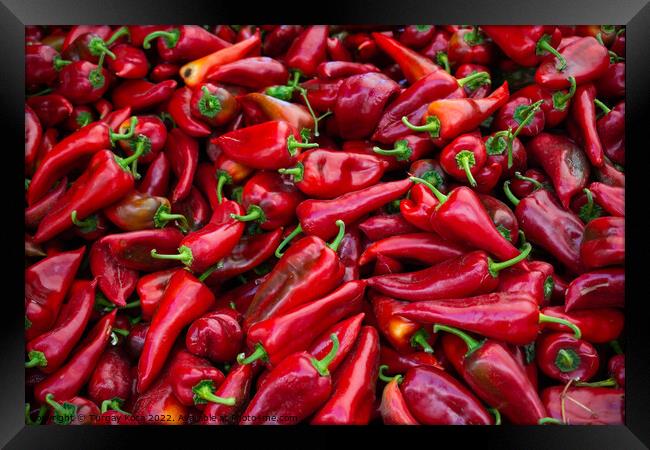 A Lot of Red Peppers as food background Framed Print by Turgay Koca