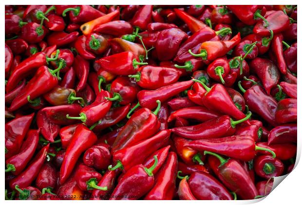 A Lot of Red Peppers as food background Print by Turgay Koca