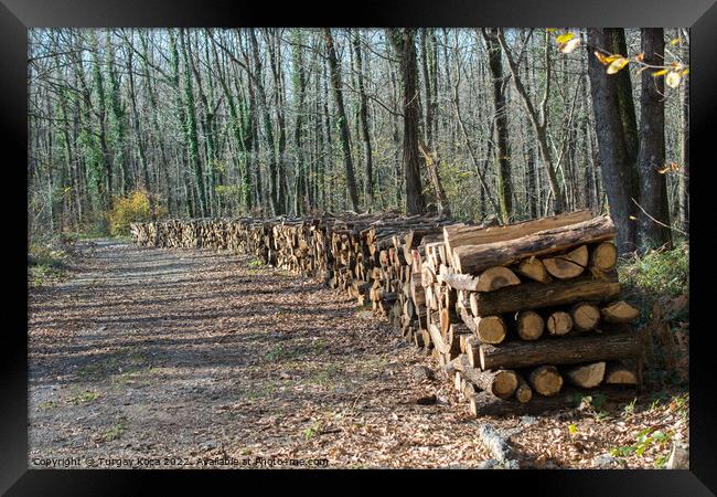 Fire wood tree  logs stock  trunks piled up   Framed Print by Turgay Koca