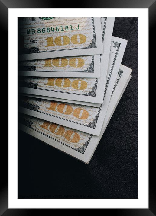American Dollars Cash Money. Banknote in close up view Framed Mounted Print by Turgay Koca
