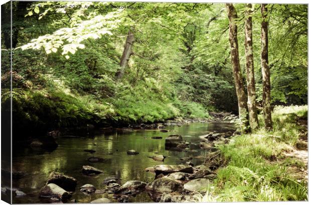 The River Teign, Dartmoor Canvas Print by Jo Sowden