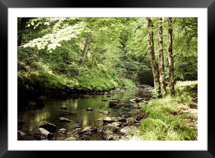 The River Teign, Dartmoor Framed Mounted Print by Jo Sowden