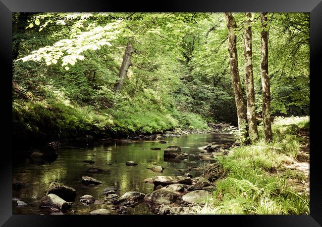 The River Teign, Dartmoor Framed Print by Jo Sowden