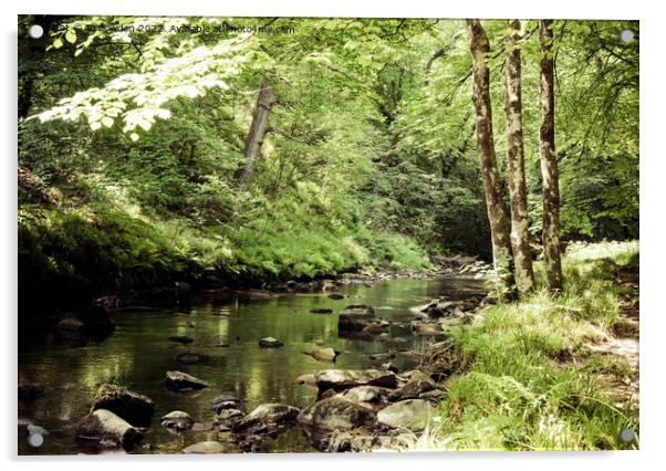 The River Teign, Dartmoor Acrylic by Jo Sowden