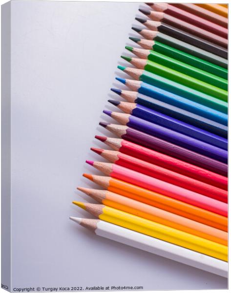  Color Pencils placed on a white background Canvas Print by Turgay Koca