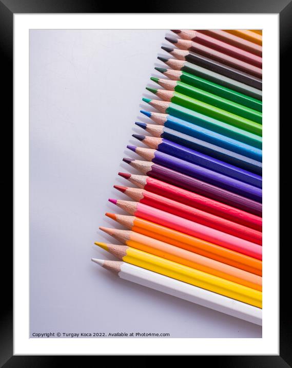  Color Pencils placed on a white background Framed Mounted Print by Turgay Koca