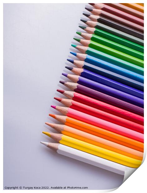 Color Pencils placed on a white background Print by Turgay Koca