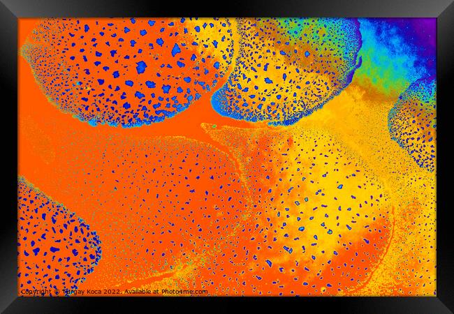 Macro shot of  water-oil emulsion over colored background Framed Print by Turgay Koca