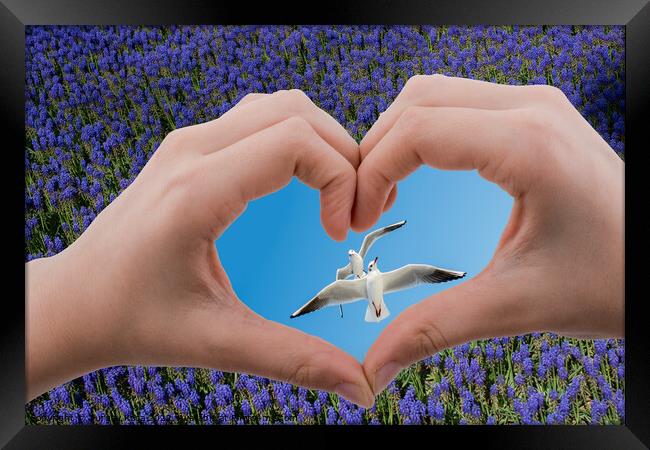 Seagulls seen behind a heart shaped hand Framed Print by Turgay Koca