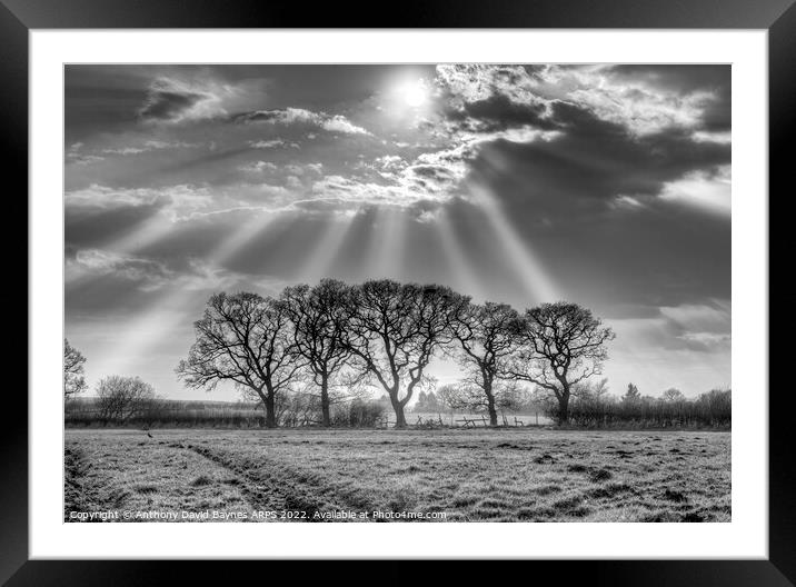 Sunbeams through mist at Goathland, North York Moors in black and white. Framed Mounted Print by Anthony David Baynes ARPS