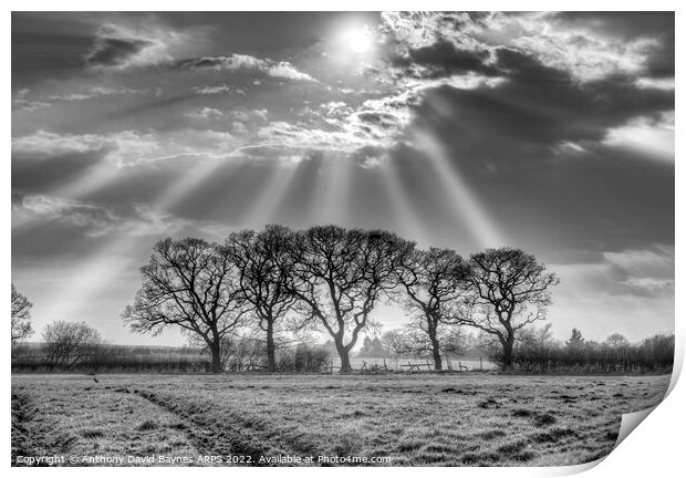 Sunbeams through mist at Goathland, North York Moors in black and white. Print by Anthony David Baynes ARPS