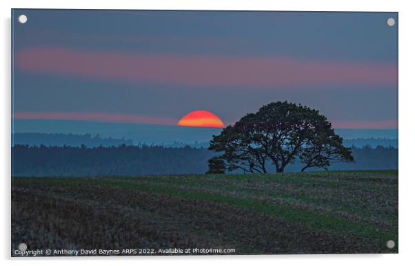 Sunset near Goathland, North Yorkshire, looking towards Cropton Forest. Acrylic by Anthony David Baynes ARPS