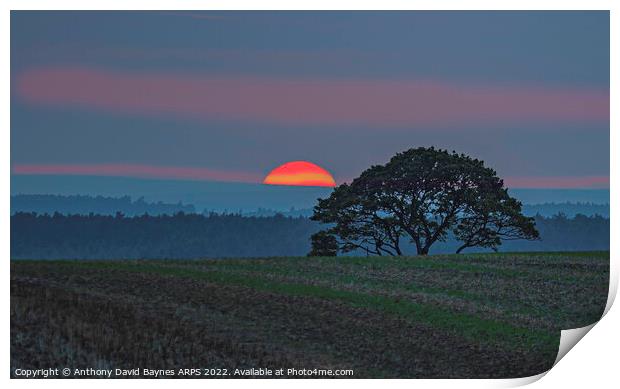 Sunset near Goathland, North Yorkshire, looking towards Cropton Forest. Print by Anthony David Baynes ARPS