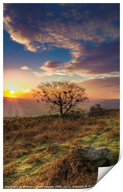 Sunset near Danby, North Yorkshire. Print by Anthony David Baynes ARPS
