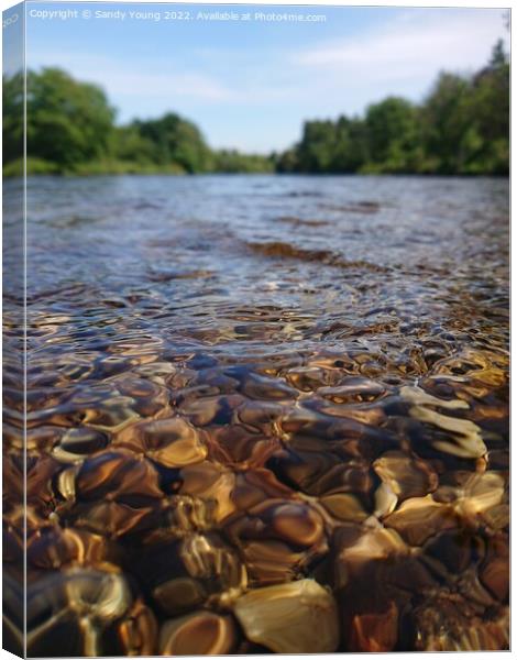 Downstream view of The River Tay near Aberfeldy  Canvas Print by Sandy Young